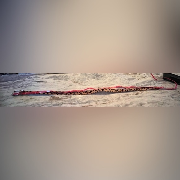 Animal Print Women’s Belt - Picture 4 of 5